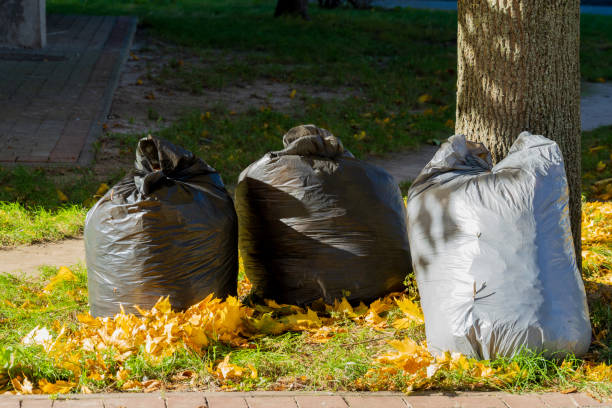 istock Three black garbage bags sit next to a tree in a park. They are placed on the grass amidst yellow and orange fallen leaves, highlighting autumn's impact on the environment 2187312965