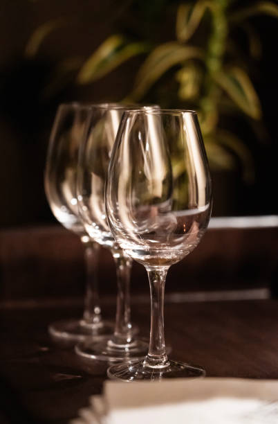 istock Wine tasting meeting scene goblet close-up 2187313029