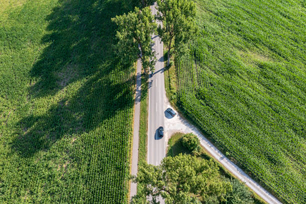 istock Two cars on a tree-lined road from above 2187320731