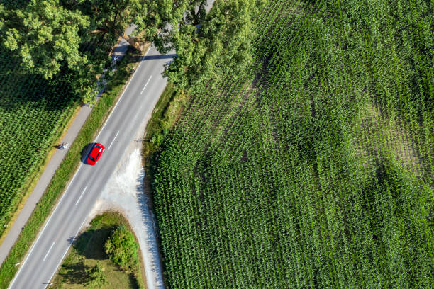 Red car on a treelined road from above