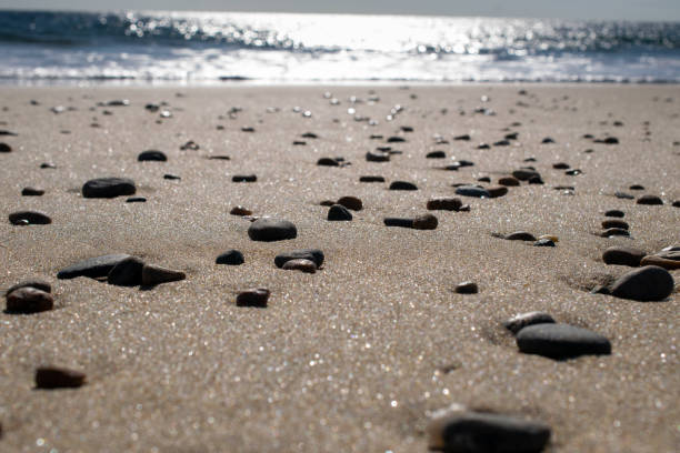 beach small stones