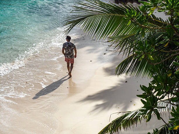 istock Handsome man walking on stunning white sand beach 2187325601