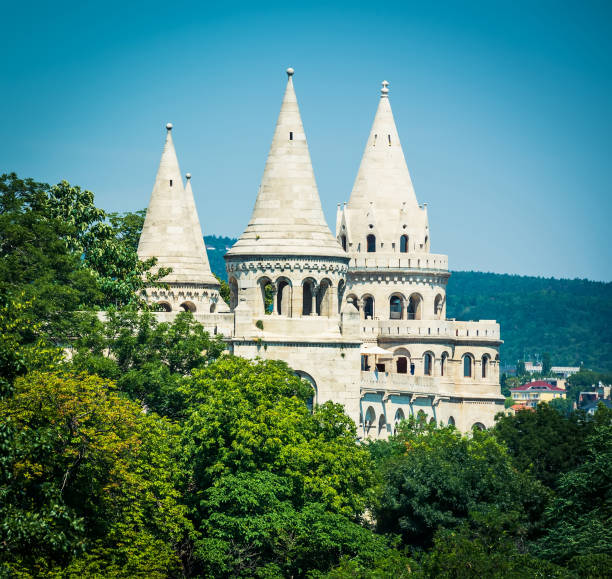 Two empty wooden benches face the historic Buda Castle in Budapest, creating a tranquil and scenic moment. The soft focus in the background emphasizes a sense of peace and quiet.