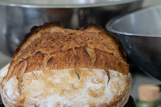 Soughdough bread mixing and baking withcrusty loaf  loaf just out of oven