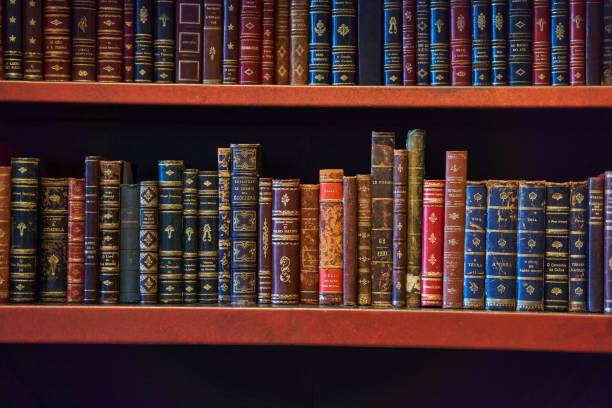 istock An image of a bookcase filled with publications in a library 2187330947