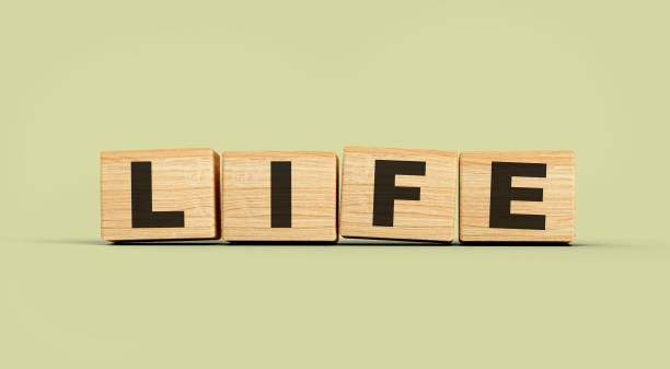 Wooden blocks Life word concept isolated background 3d illustration