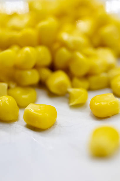 macro view of bright yellow sweet corn kernels on a white plate, focusing on texture, freshness, and natural appeal