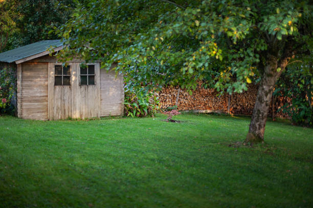 istock Outdoors in a French park 2187341379