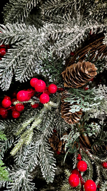 istock Composition consisting of green branches of coniferous trees 2187348520