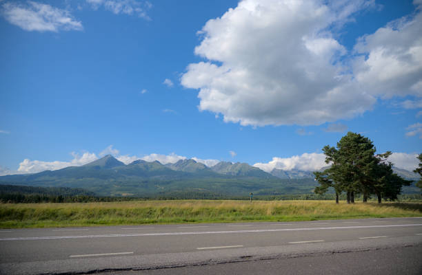 A picturesque view of a mountain range under a vibrant blue sky with scattered clouds. The scene captures the beauty of the rugged peaks rising above a lush forest and open grasslands. A calm, empty road in the foreground provides a sense of tranquility and adventure, inviting exploration into the stunning natural landscape.