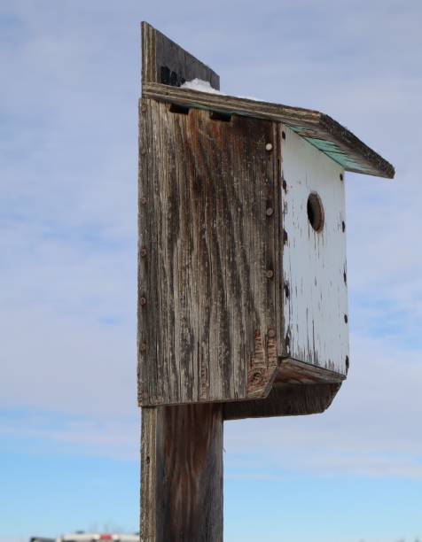 istock A home built birdhouse on a fence. 2187355168