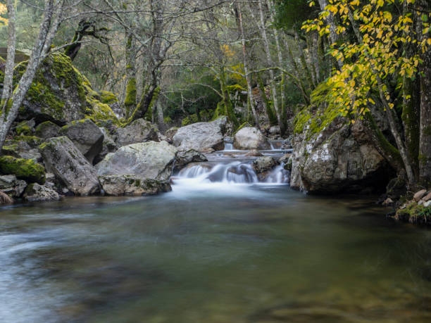 Mountain stream in the mist in autumn. Batuecas River, Sierra de Francia, La Alberca