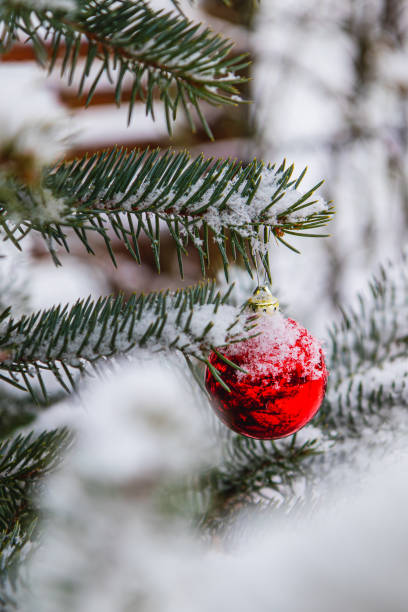 istock A Christmas tree decorated with festive decorations and sprinkled with soft snow 2187359651