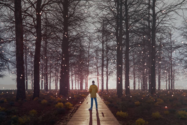 istock Man standing in mysterious fantasy forest at sunset 2187361352