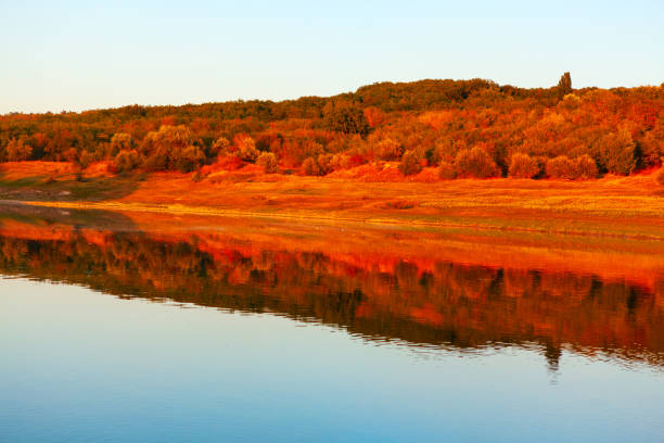 Serene landscape featuring a calm river reflecting the vibrant autumn foliage of a forested area. Trees display a range of warm colors create a striking contrast against sky and the waters surface