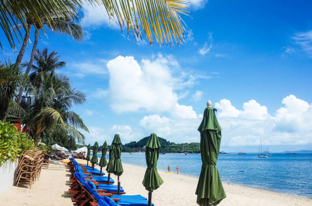 istock beach chairs and umbrellas on the beach 2187380235