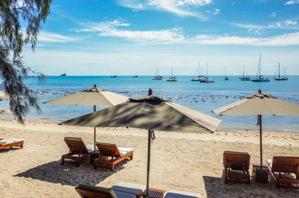 istock beach chairs and umbrellas on the beach 2187380258