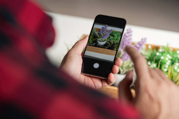 istock Capturing succulent arrangement with smartphone at home 2187381968