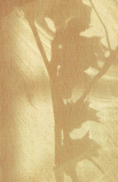 istock Light and shadow sunset, floral pattern. Vintage textile background. Abstract backdrop with crossed lines shadows. Wabi sabi style aestetics. 2187385502