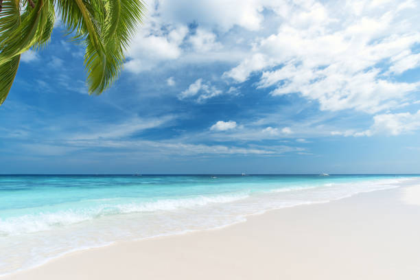 istock Exotic tropical paradise beach scene for background or wallpaper 2187385747