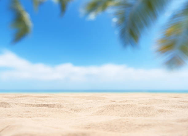 istock Empty tropical sand beach with palm leafs and clear sky abstract background 2187387448