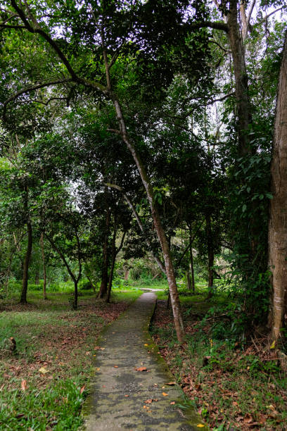 istock Footpath through the greenery in Pekanbaru city forest. 2187388735