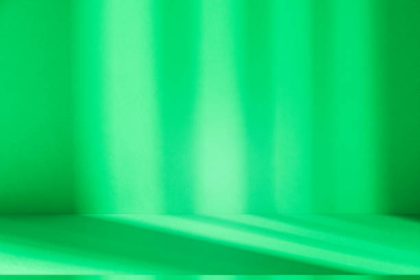 istock Studio style background wall decoration presentation uses white and green tones. with shadows cast from a nearby window, concept creating a decorative 2187393145