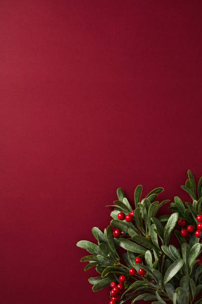 istock Christmas vertical background. Festive holly on a dark red backdrop with green leaves and bright red berries. 2187395975