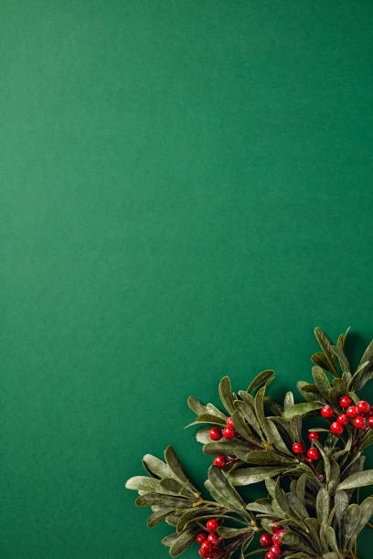 istock Christmas vertical background with holly berries and branches on green table. 2187396084