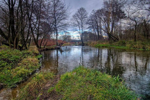 The Grabia River in central Poland.
