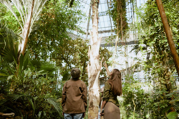 istock Unrecognizable Botanist Showing Tree To Teen Boy 2187401114