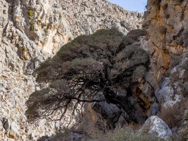 istock Chochlakies Gorge and Karoumes Beach in East Crete 2187404376