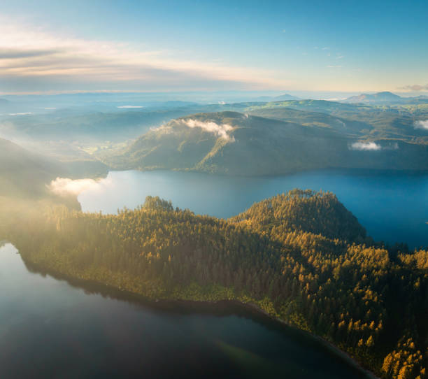 Beautiful breathtaking view of a calm lake surrounded by lush green foliage under clear sky during sunrise in Rotorua, New Zealand.