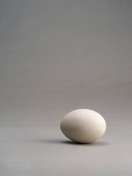 istock Close up of a wooden egg, on grey background 2187407484
