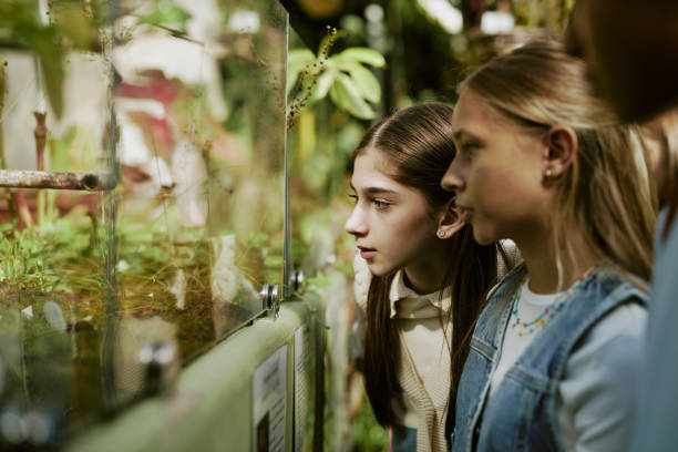 istock Teenagers Looking At Plants Growing In Glass Container 2187415076