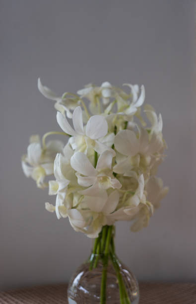istock White orchid in glass vase 2187417078