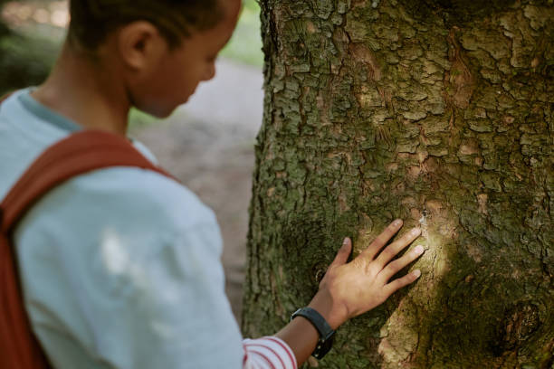 istock Teen Boy Touching Tree Trunk 2187420829
