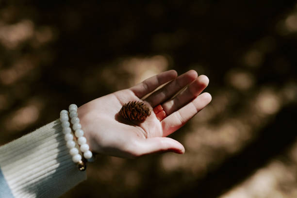 istock Small Cone In Girls Hand 2187421108