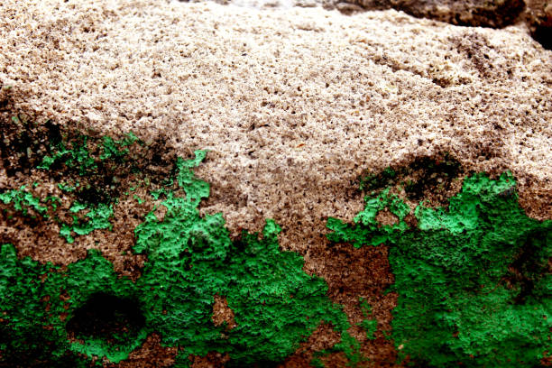 Natural rock or stone texture. Stone background.