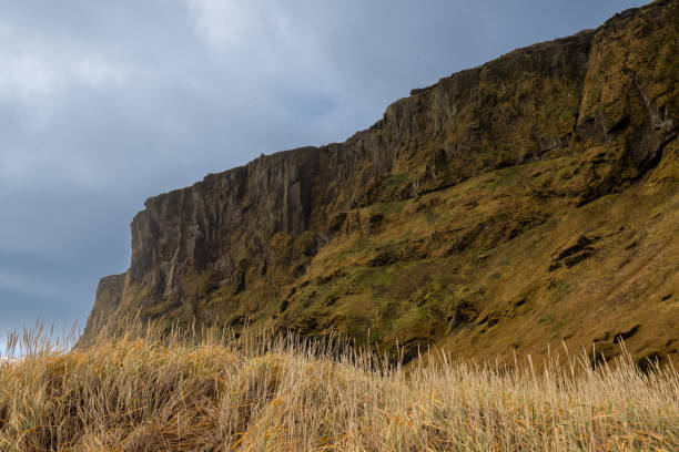 Majestic mountain on the coast of Atlantic ocean, covered by moss, lichen and grass. Autumn colors from yellow to green. Cloudy sky. Vik, south Iceland.