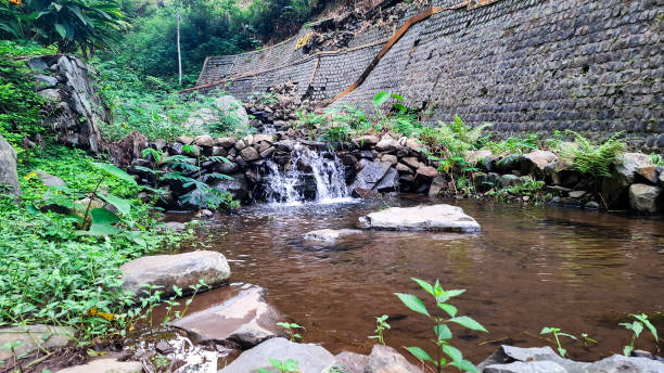 A small waterfall cascades into a tranquil pool, surrounded by lush greenery and a stone wall
