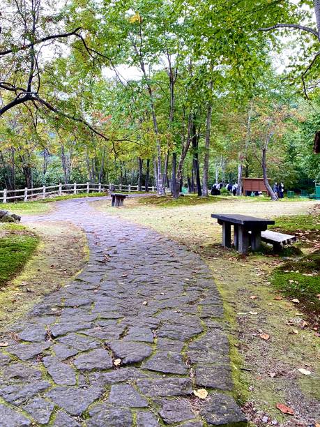 istock Wooden benches on a stone path in a park 2187434420