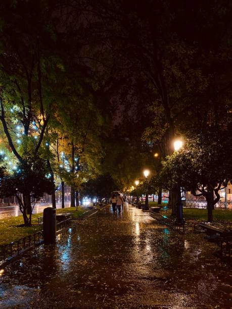 istock Nighttime park with illuminated trees and wet paths. 2187434455