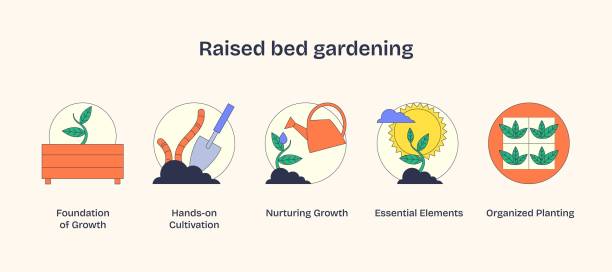 istock Raised bed gardening icons depict growth, cultivation, and organization with... 2187439376