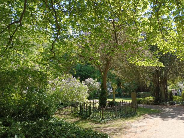 istock Assistens Cemetery in Copenhague in Denmark 2187451954