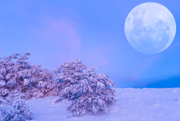 istock huge full moon rising above the winter snowbound fir tree forest 2187454448