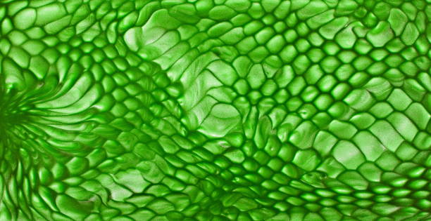 istock Green Snake Skin Background - Plastic 2187454481