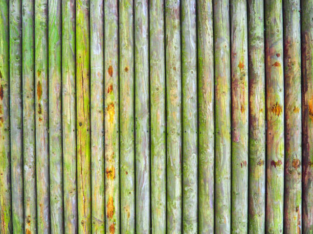 Vintage wooden background - Rustic Wood Texture