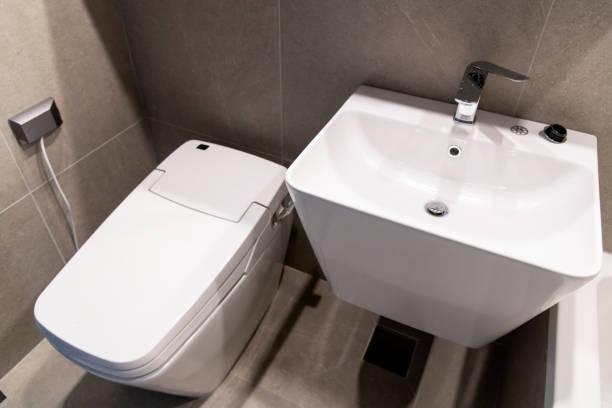 istock washbasin and toilet 2187454499