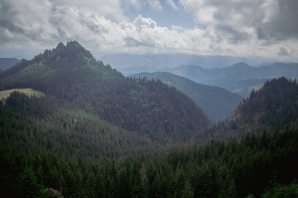 This photo is available in high-resolution and good quality, it can be used to fit the needs of your project.